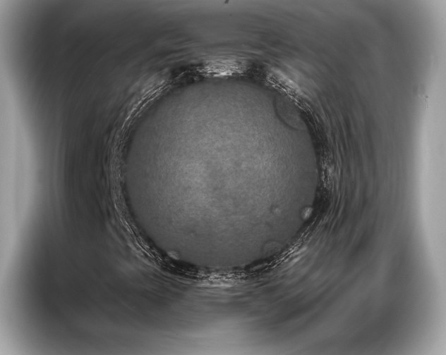 X0000087041393200704181205