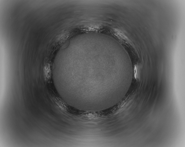 X0000087041395200704181205