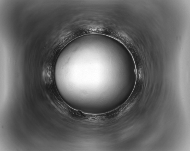 X0000087041396200704181205