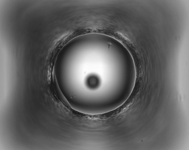 X0000087041398200704181205