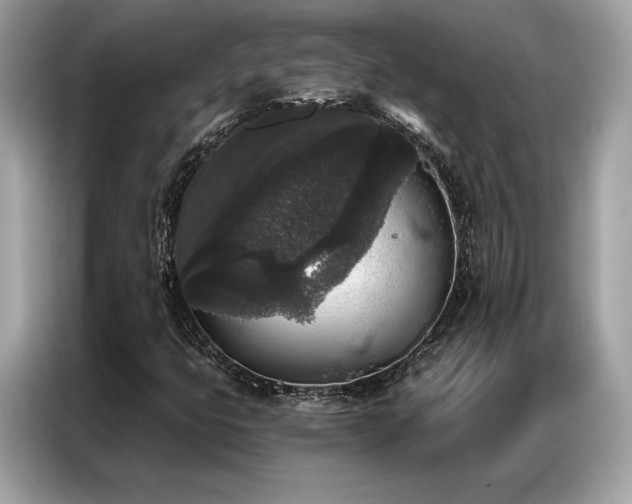 X0000087041399200704181205