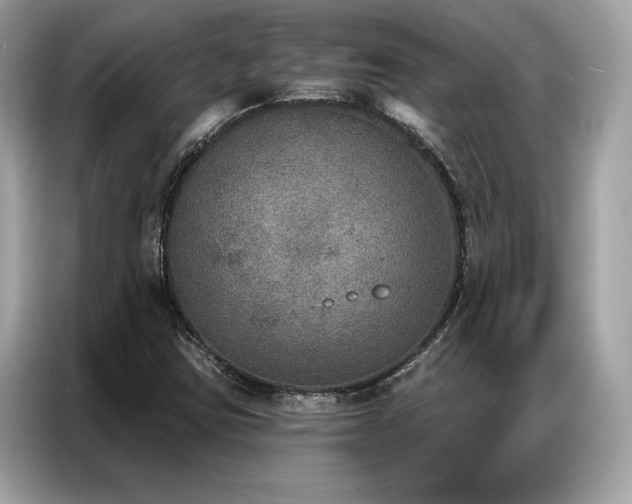 X0000087041403200704181205
