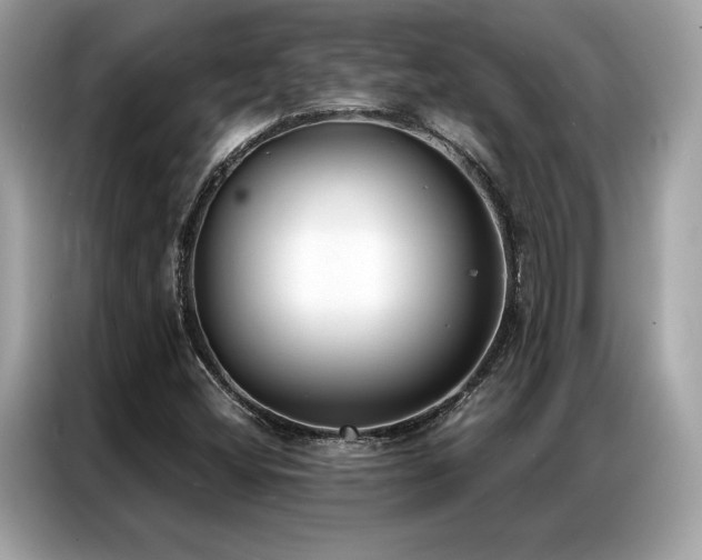 X0000087041404200704181206