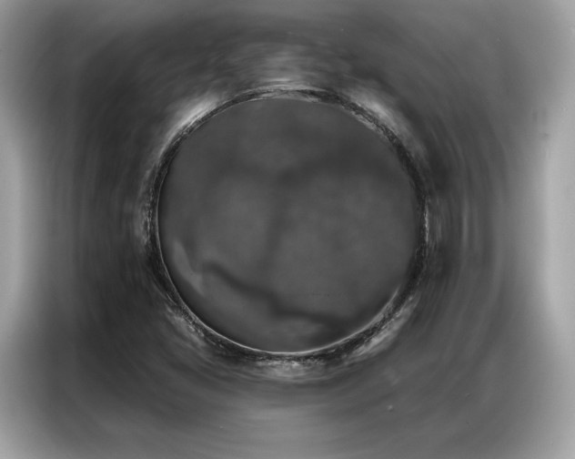 X0000087041405200704181206