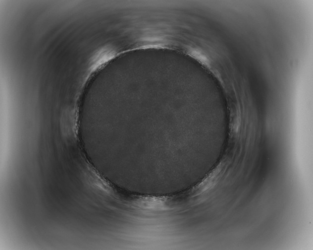 X0000087041411200704181206