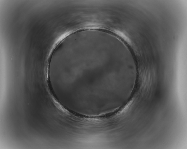 X0000087041413200704181206