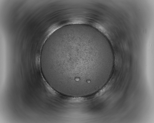 X0000087041417200704181206