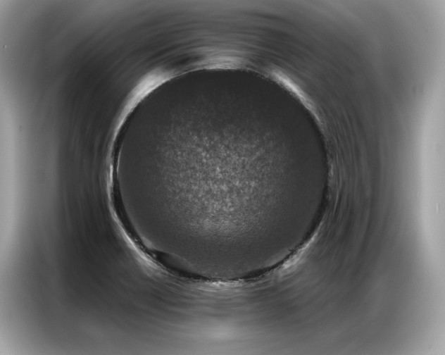 X0000087041418200704181206
