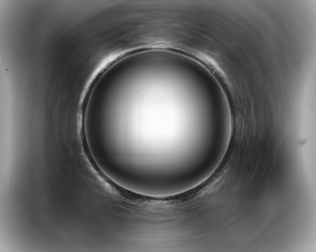 X0000087041424200704181206