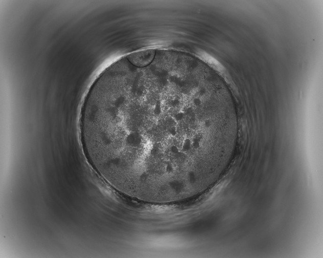 X0000087041427200704181206