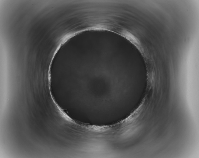 X0000087041428200704181206