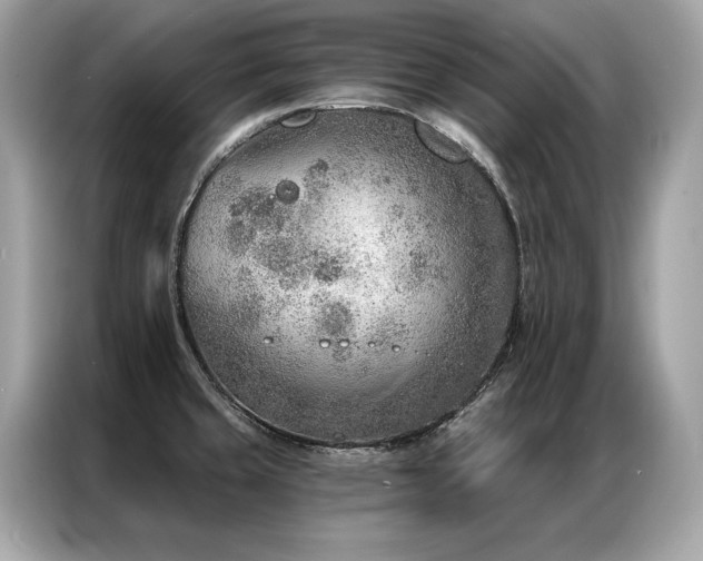X0000087041429200704181206