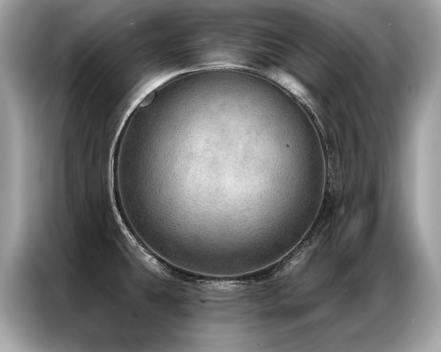 X0000087041431200704181206