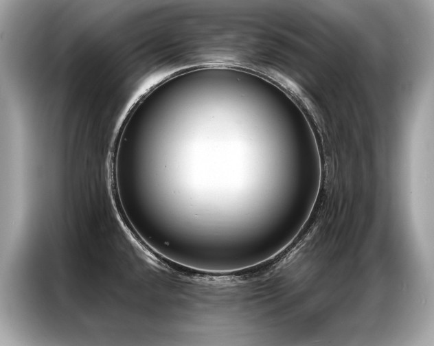 X0000087041432200704181206