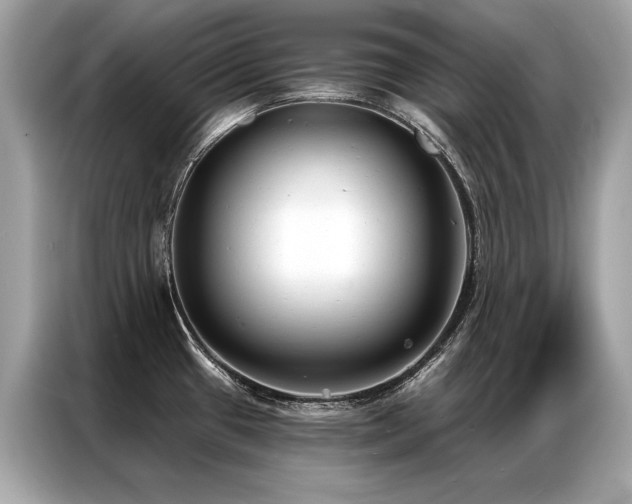 X0000087041433200704181206