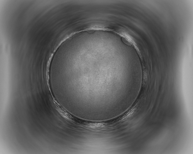 X0000087041435200704181206