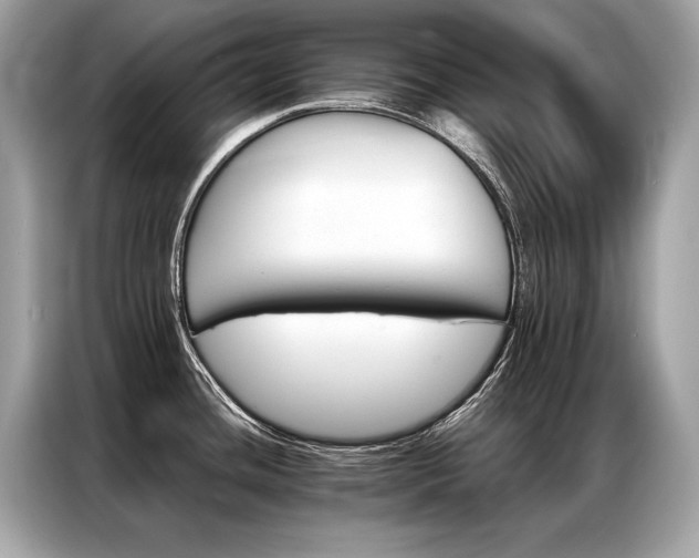 X0000087041436200704181206