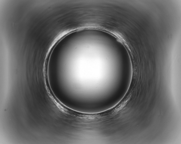 X0000087041438200704181206
