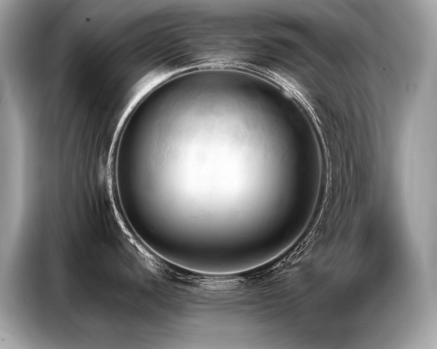 X0000087041440200704181206
