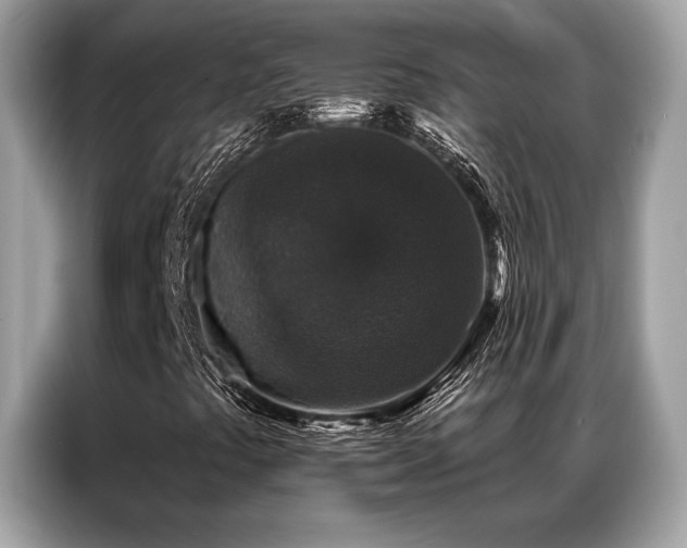 X0000087041441200704181205