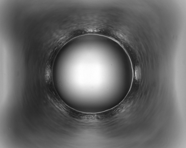 X0000087041444200704181205
