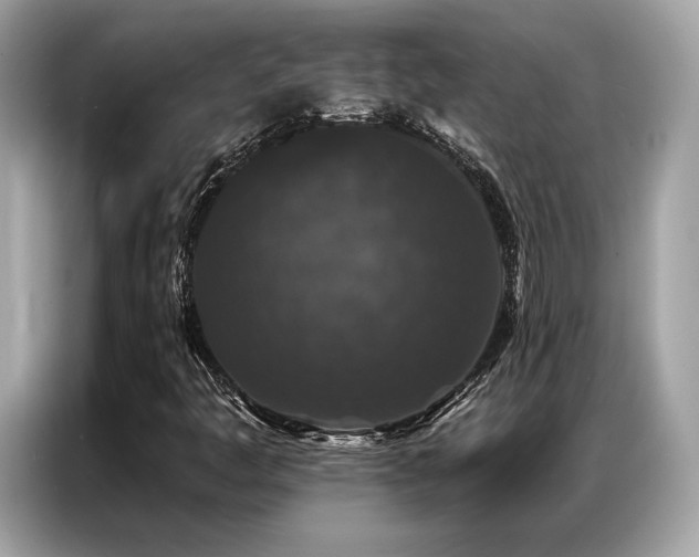 X0000087041445200704181205