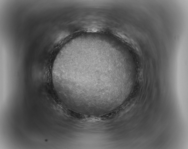 X0000087041446200704181205