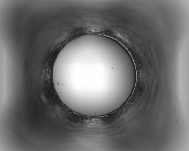 X0000087041447200704181205