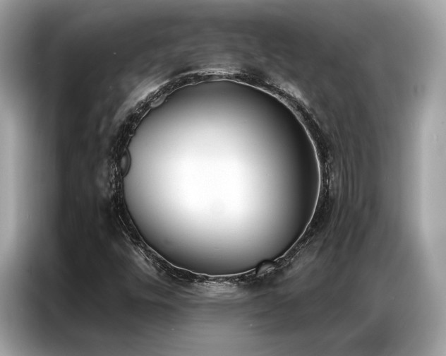 X0000087041448200704181205