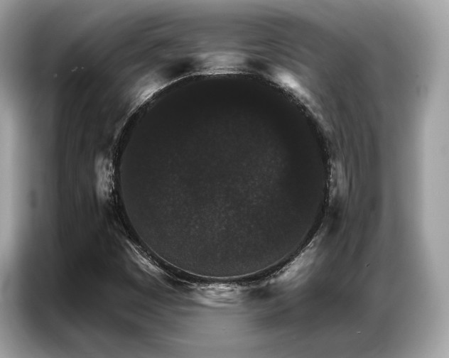 X0000087041449200704181205