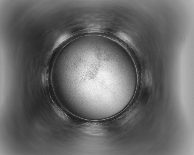 X0000087041450200704181205