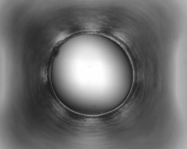 X0000087041451200704181205