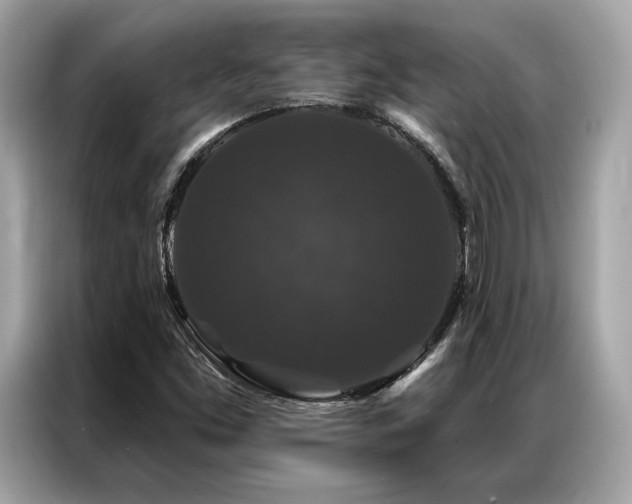 X0000087041453200704181205