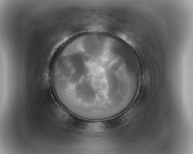 X0000087041454200704181205