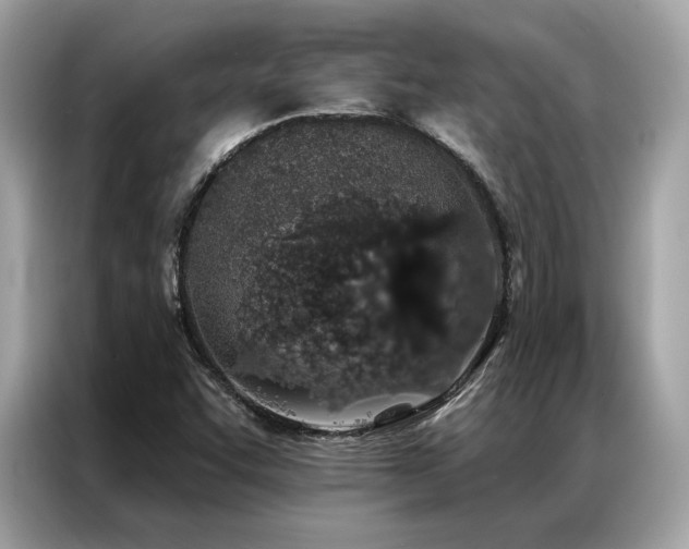X0000087041455200704181205