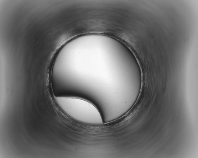 X0000087041459200704181205
