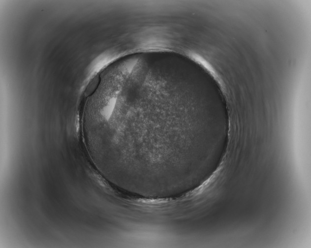 X0000087041461200704181205