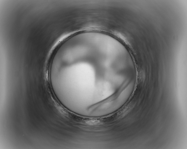 X0000087041462200704181205