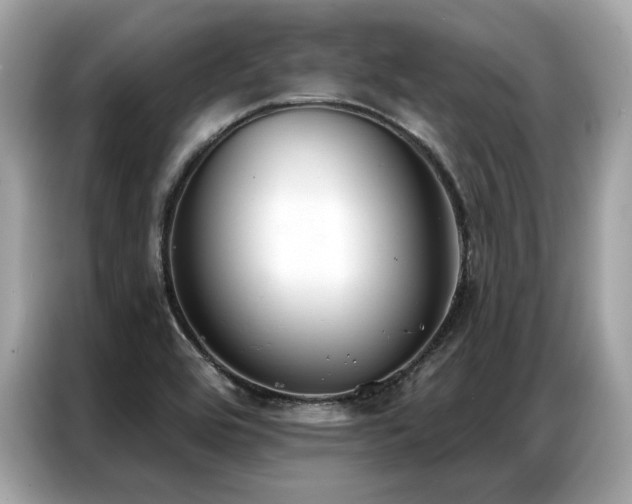 X0000087041464200704181205