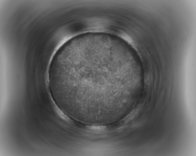 X0000087041466200704181205