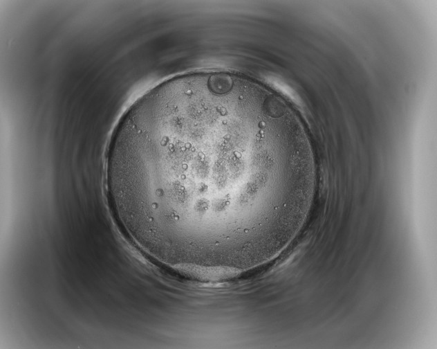 X0000087041467200704181205