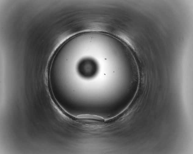 X0000087041468200704181205
