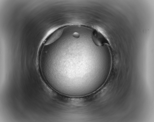 X0000087041469200704181205
