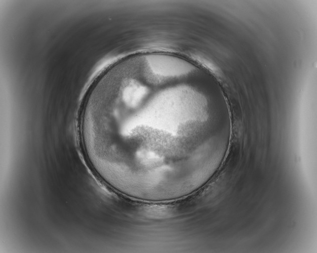X0000087041470200704181205