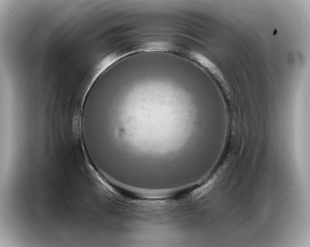 X0000087041473200704181205