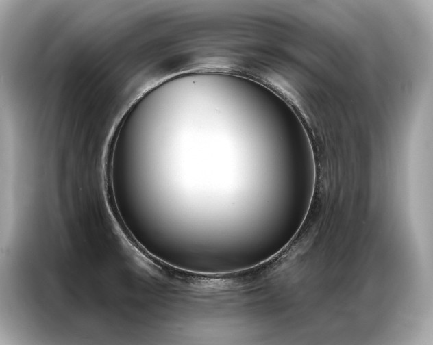 X0000087041475200704181205