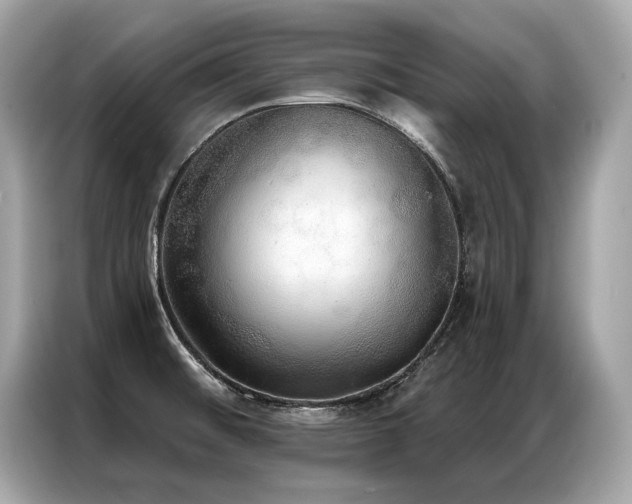 X0000087041476200704181205