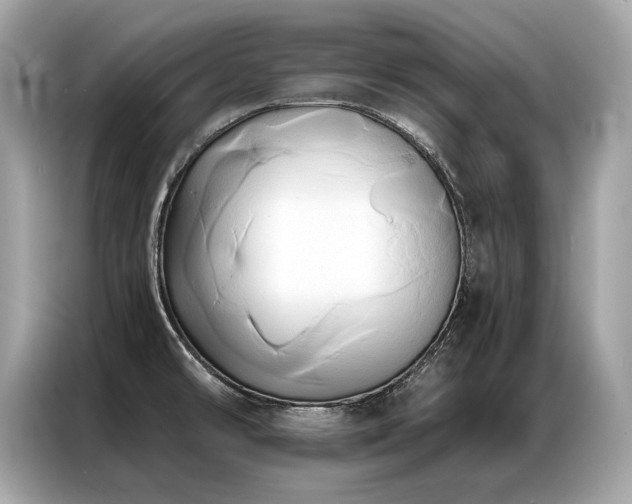 X0000087041478200704181205
