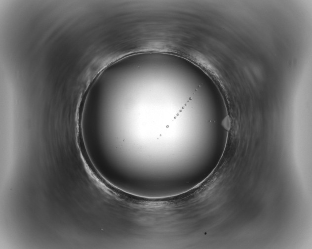 X0000087041479200704181205