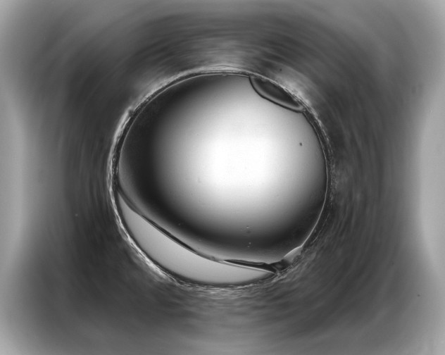 X0000087041480200704181205